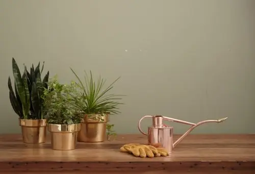 garden advice