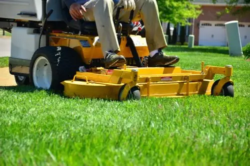 grass cutting service