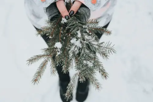 winter gardening