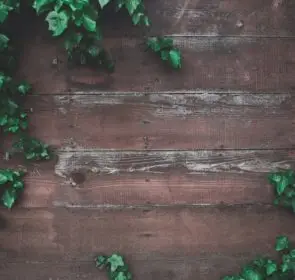 garden fence